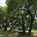 성주 성산관 이미지