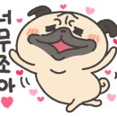 소담하개 이미지