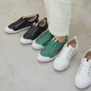 587 이미지