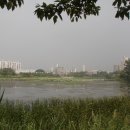 다목적게이트볼장화장실 이미지