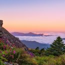 아침풍경 이미지