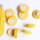 초당옥수수 찌는법 보관법 초당옥수수 전자레인지 익혀 먹는법 이미지