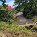 정영식공인중개사사무소 이미지