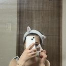 디아존 | 얼굴 괄사 마사지 방법을 알고 떼르디아로망 사용해본 솔직후기