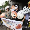 시민단체, '살충제 계란 파동' 농림부장관·식약처장 고발 이미지