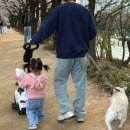 애개애개 | ★ 아기랑 산책 + 강아지랑 산책, 애개 산책 꿀팁 ★