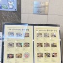 세븐일레븐 진주골든튤립 이미지