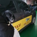 신림종합동물병원 이미지