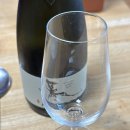 주식회사 보토 이미지