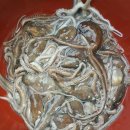 금일농장 이미지