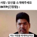 사이카쿠