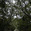 대길케어 | 여행 : 하카타 동선 / 하카타 꼭 가볼 맛집 / 하카타 디저트 라떼 맛집 솔직 후기 / 스미요시 신사