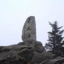 진고개약국 이미지