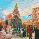 금사도서관 | 코엑스 별마당도서관 크리스마스 트리 연말 데이트 평일 낮 방문 후기