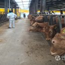 상록축산 이미지