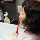 옥스포드어린이집 | [구디백추천] 칫솔구디백, 희랑희랑 어린이집 생일 답례품 후기