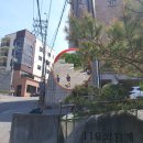 반사경전봇대 이미지