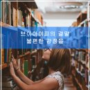 브이아이피독 이미지