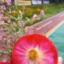 당현천길 이미지