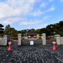 홍주의사총 이미지