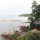 크로톤풀 빌라 이미지