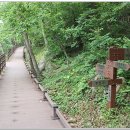 오감연결길 티스토리