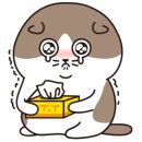 개밥주는고양이 이미지