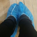 전주오송초등학교 이미지