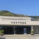 부여 여행 필수코스 국립부여박물관 | 관람꿀팁, 여행지 추천👍