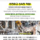 자인민박 이미지