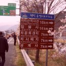 녹차의계곡