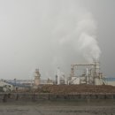 대성목재 이미지