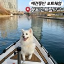 문구르미 | 송도 센트럴파크 애견동반 보트 할인 꿀팁 문보트 후기