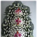 불광1-031 이미지