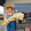 소로1리 마을회관 이미지