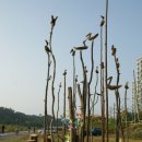 세내
