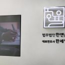 법무법인율로