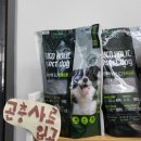 오마이뀨 이미지