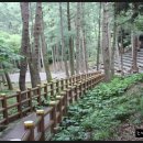 한라수목원 Daum카페