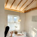 스테이 띠앗 이미지