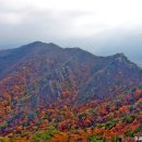 남산 티스토리