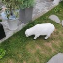 백년우동 이미지