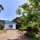 스테이 풍 이미지