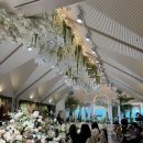 (주)시호비전분당 | 분당 웨딩홀 서현 하우스웨딩 더메리든 하객후기 - 연회장 식사, atm위치, 주차 정보