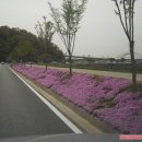 달천제방길 이미지