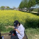 최세모 이미지
