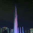 금빛나라조명