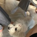 빌라드소양 이미지