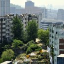 금화환경 이미지