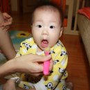 연택 이미지